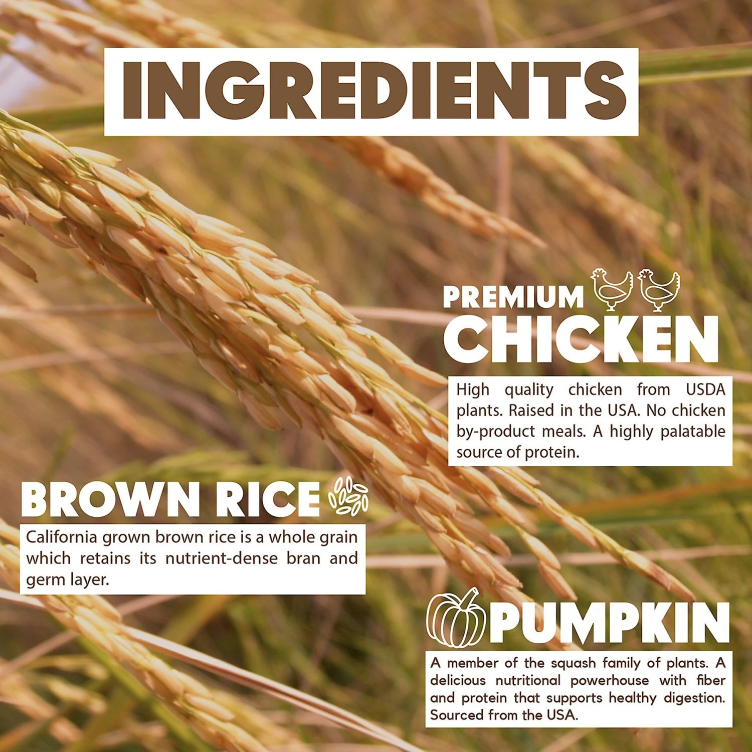 Lucy Pet Products Limited Ingredient Diet Chicken, Brown Rice & Pumpkin Formula Dry Dog Food 9 Lucy Pet Products Limited Ingredient Diet Chicken, Brown Rice & Pumpkin Formula Dry Dog Food - Image 7