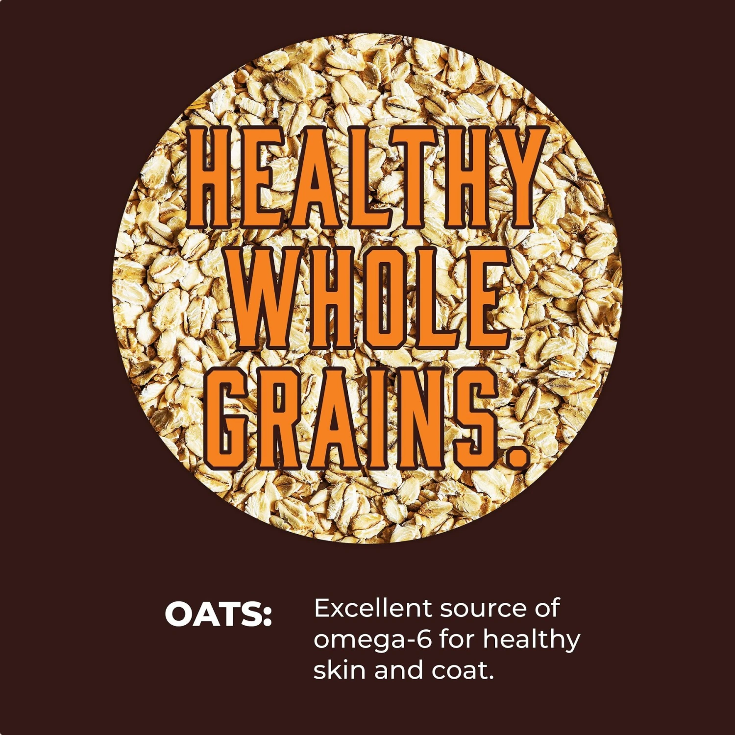 Inception Chicken & Pork Recipe Canned Dog Food, 13-oz, Case Of 12 7 Inception Chicken & Pork Recipe Canned Dog Food, 13-oz, Case Of 12 - Image 5