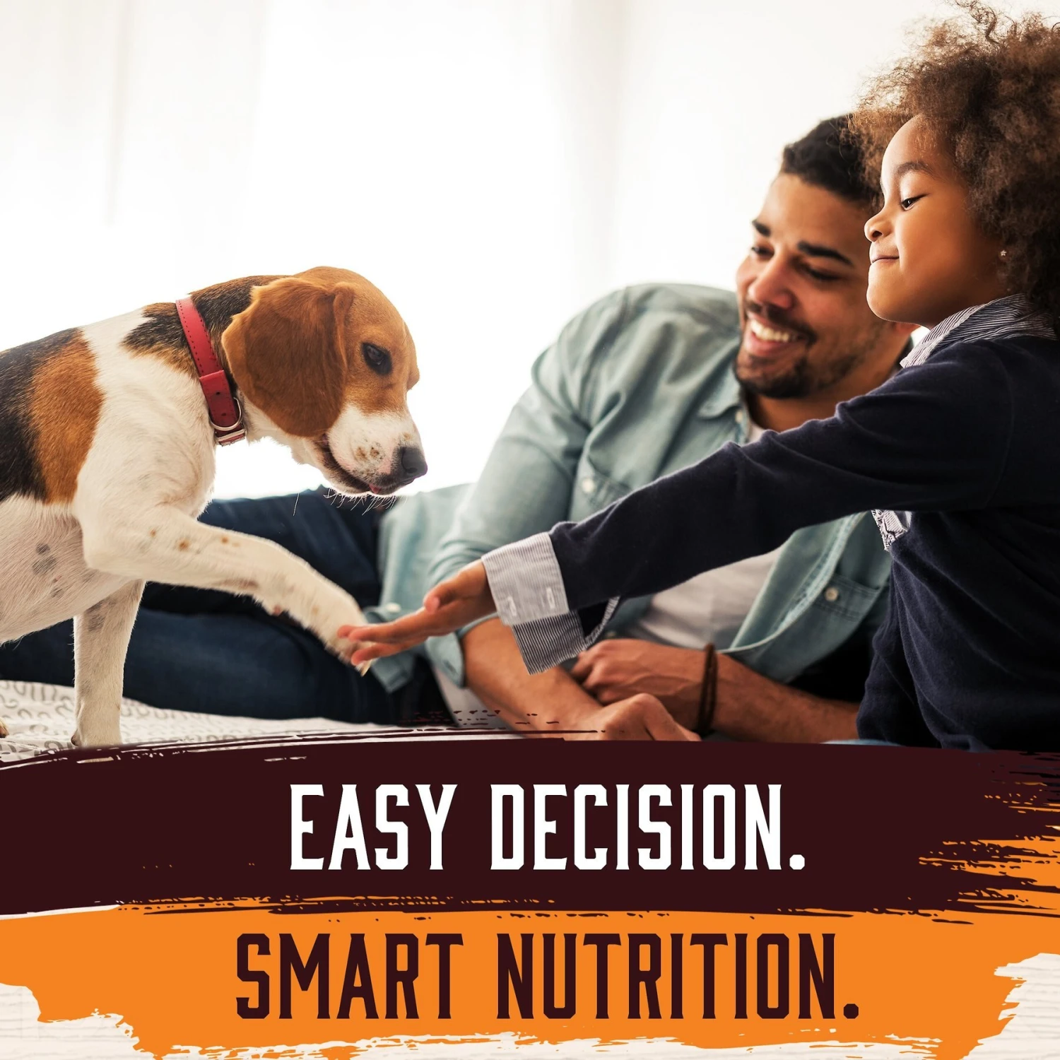 Inception Chicken & Pork Recipe Canned Dog Food, 13-oz, Case Of 12 9 Inception Chicken & Pork Recipe Canned Dog Food, 13-oz, Case Of 12 - Image 7