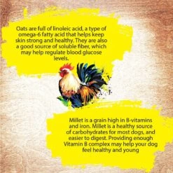 Inception Chicken Recipe Canned Dog Food, 13-oz, Case Of 12 14 Inception Chicken Recipe Canned Dog Food, 13-oz, Case Of 12 -Blue Buffalo || ROYAL CANIN || Wellness Sales 213546 PT4. AC SS1800 V1582043981