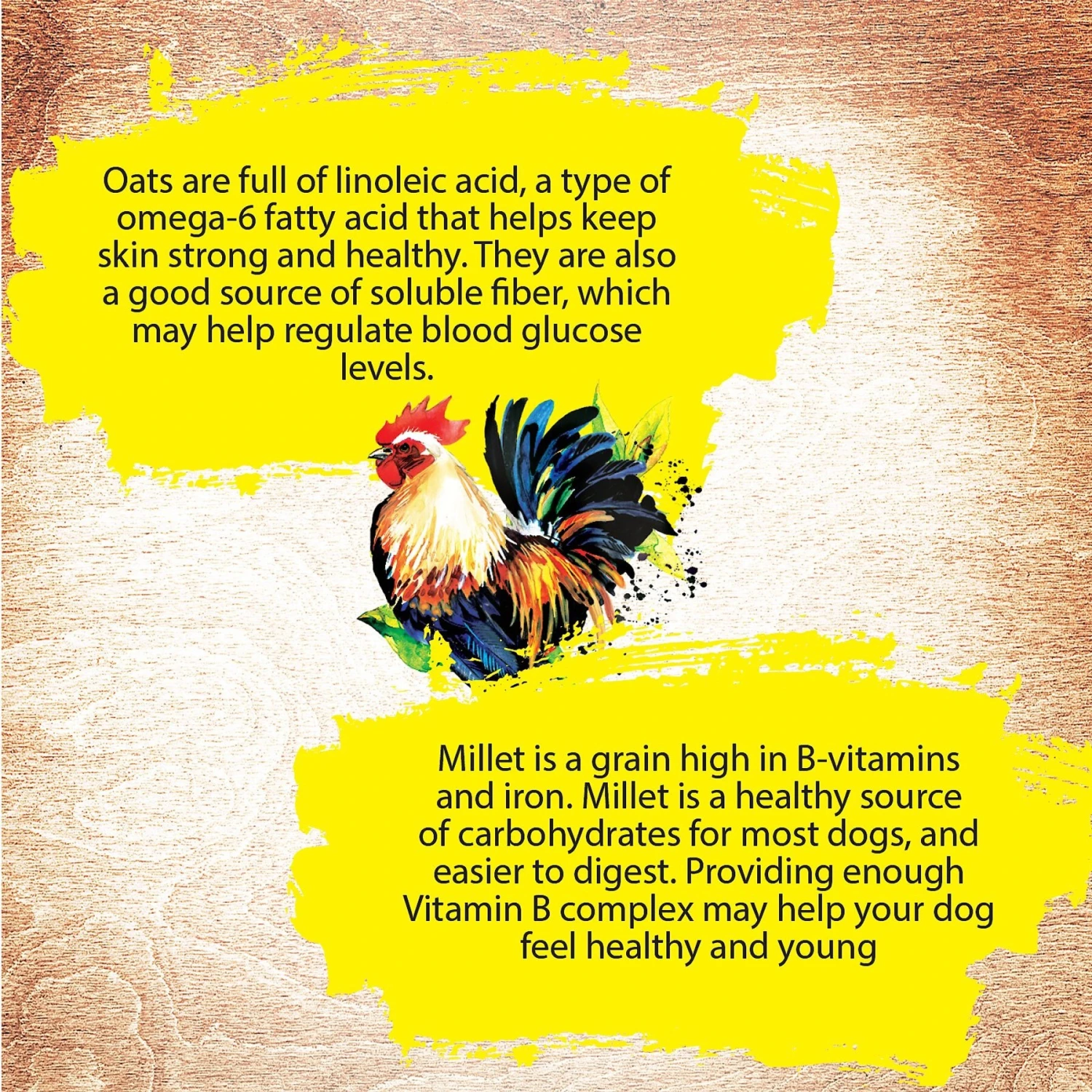 Inception Chicken Recipe Canned Dog Food, 13-oz, Case Of 12 7 Inception Chicken Recipe Canned Dog Food, 13-oz, Case Of 12 - Image 5