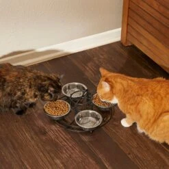 Frisco Multi Pet Feeding 4-Bowls Stainless Steel Dog & Cat Bowls, 0.5 Cup -Blue Buffalo || ROYAL CANIN || Wellness Sales 213787 PT6. AC SS1800 V1599091021