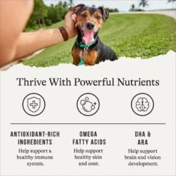 American Journey Protein & Grains Puppy Salmon, Brown Rice & Vegetables Recipe Dry Dog Food, 28-lb Bag -Blue Buffalo || ROYAL CANIN || Wellness Sales 214827 PT4. AC SS1800 V1668737353