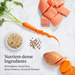American Journey Protein & Grains Senior Salmon, Brown Rice & Vegetables Recipe Dry Dog Food, 28-lb Bag 16 American Journey Protein & Grains Senior Salmon, Brown Rice & Vegetables Recipe Dry Dog Food, 28-lb Bag -Blue Buffalo || ROYAL CANIN || Wellness Sales 214831 PT5. AC SS1800 V1680624918