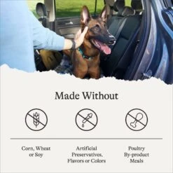 American Journey Protein & Grains Senior Salmon, Brown Rice & Vegetables Recipe Dry Dog Food, 28-lb Bag 17 American Journey Protein & Grains Senior Salmon, Brown Rice & Vegetables Recipe Dry Dog Food, 28-lb Bag -Blue Buffalo || ROYAL CANIN || Wellness Sales 214831 PT6. AC SS1800 V1680624917