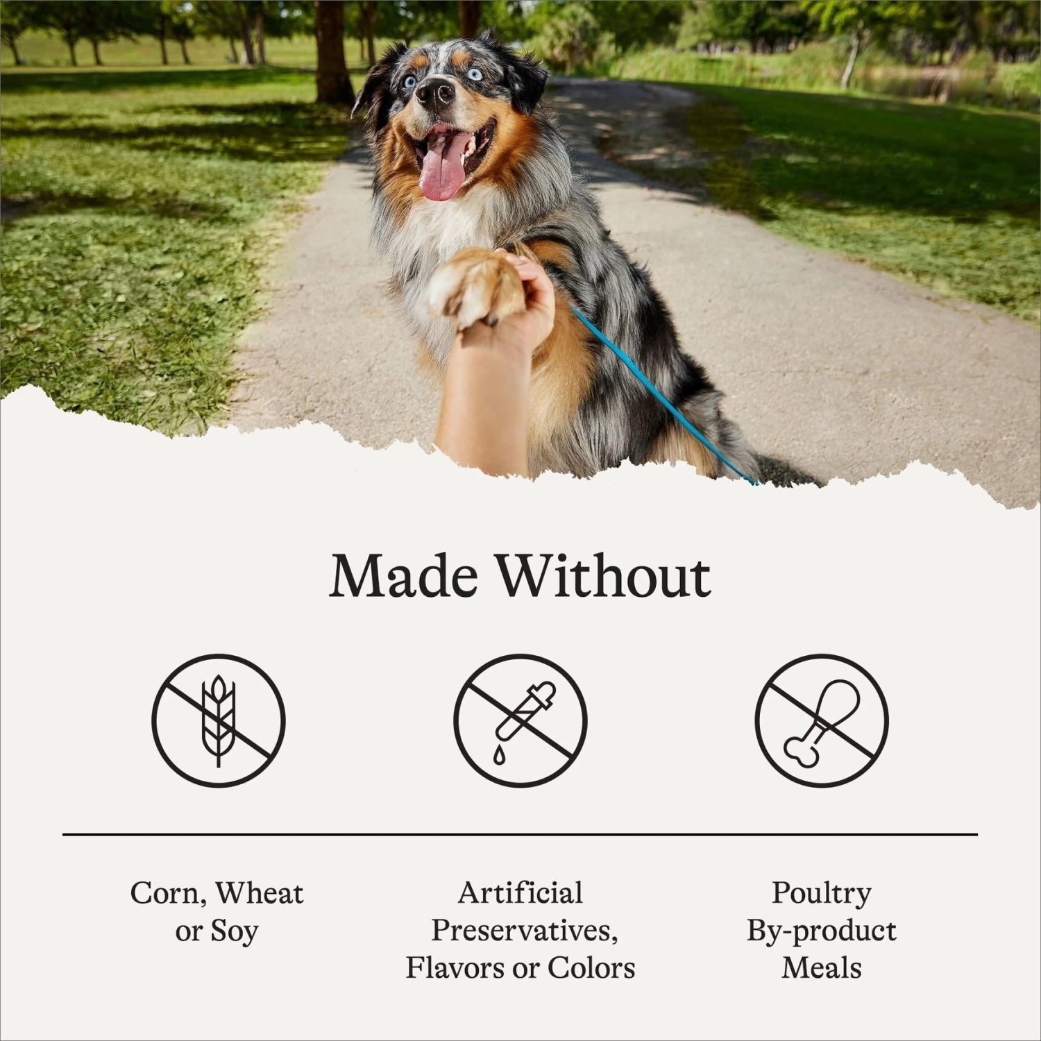 American Journey Protein & Grains Large Breed Puppy Chicken, Brown Rice & Vegetables Recipe Dry Dog Food, 28-lb Bag 9 American Journey Protein & Grains Large Breed Puppy Chicken, Brown Rice & Vegetables Recipe Dry Dog Food, 28-lb Bag - Image 7