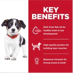 Hill's Science Diet Puppy Chicken & Brown Rice Recipe Dry Dog Food -Blue Buffalo || ROYAL CANIN || Wellness Sales 215343 PT5. AC SS1800 V1602637280