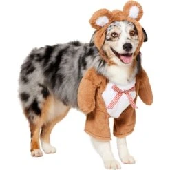 Frisco Front Walking Teddy Bear Dog & Cat Costume -Blue Buffalo || ROYAL CANIN || Wellness Sales 215507 PT3. AC SS1800 V1624402415