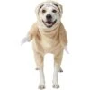 Frisco Front Walking Sloth Dog & Cat Costume -Blue Buffalo || ROYAL CANIN || Wellness Sales 215539 MAIN. AC SS1800 V1595615760