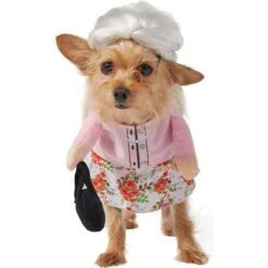 Frisco Front Walking Granny Dog & Cat Costume 15 Frisco Front Walking Granny Dog & Cat Costume -Blue Buffalo || ROYAL CANIN || Wellness Sales 215577 PT4. AC SS1800 V1625077372