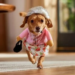 Frisco Front Walking Granny Dog & Cat Costume 19 Frisco Front Walking Granny Dog & Cat Costume -Blue Buffalo || ROYAL CANIN || Wellness Sales 215577 PT8. AC SS1800 V1689621333