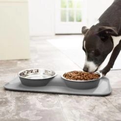 Frisco Heavy Duty Non-Skid Silicone Diner -Blue Buffalo || ROYAL CANIN || Wellness Sales 215979 PT6. AC SS1800 V1599089765