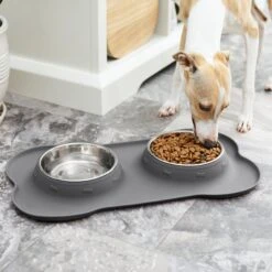 Frisco Silicone Stainless Steel Double Diner Dog & Cat Bowl 15 Frisco Silicone Stainless Steel Double Diner Dog & Cat Bowl -Blue Buffalo || ROYAL CANIN || Wellness Sales 215990 PT7. AC SS1800 V1605658625
