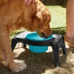 Frisco Elevated Collapsible Travel Bowl 11 Frisco Elevated Collapsible Travel Bowl -Blue Buffalo || ROYAL CANIN || Wellness Sales 216013 PT7. AC SS1800 V1605653830