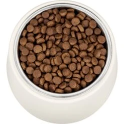 Frisco Slanted Stainless Steel Bowl -Blue Buffalo || ROYAL CANIN || Wellness Sales 216028 PT4. AC SS1800 V1591020437