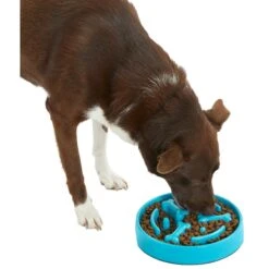 Frisco Bone Shaped Ridges Slow Feed Bowl -Blue Buffalo || ROYAL CANIN || Wellness Sales 216041 PT6. AC SS1800 V1605664049
