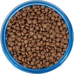 Frisco Chevron Design Glass Bowl With Silicone Sleeve -Blue Buffalo || ROYAL CANIN || Wellness Sales 216049 PT4. AC SS1800 V1591020735