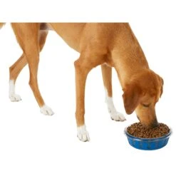 Frisco Chevron Design Glass Bowl With Silicone Sleeve -Blue Buffalo || ROYAL CANIN || Wellness Sales 216049 PT6. AC SS1800 V1605654757