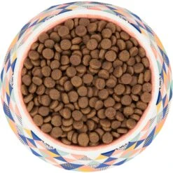 Frisco Colorful Geometric Melamine Bowl -Blue Buffalo || ROYAL CANIN || Wellness Sales 216054 PT4. AC SS1800 V1591020757