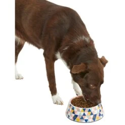 Frisco Colorful Geometric Melamine Bowl -Blue Buffalo || ROYAL CANIN || Wellness Sales 216054 PT6. AC SS1800 V1605658026