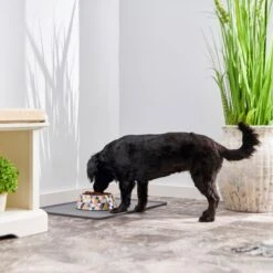 Frisco Colorful Geometric Melamine Bowl -Blue Buffalo || ROYAL CANIN || Wellness Sales 216054 PT7. AC SS1800 V1605662213