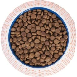 Frisco Southwest Melamine Bowl 13 Frisco Southwest Melamine Bowl -Blue Buffalo || ROYAL CANIN || Wellness Sales 216064 PT4. AC SS1800 V1591021009