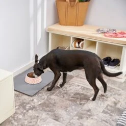 Frisco Southwest Melamine Bowl 15 Frisco Southwest Melamine Bowl -Blue Buffalo || ROYAL CANIN || Wellness Sales 216064 PT7. AC SS1800 V1605653262