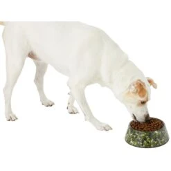 Frisco Camo Paint Splashed Melamine Bowl -Blue Buffalo || ROYAL CANIN || Wellness Sales 216066 PT6. AC SS1800 V1605666935