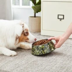 Frisco Camo Paint Splashed Melamine Bowl -Blue Buffalo || ROYAL CANIN || Wellness Sales 216066 PT7. AC SS1800 V1605666131