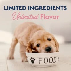 Natural Balance Limited Ingredient Salmon & Brown Rice Puppy Recipe Dry Dog Food 15 Natural Balance Limited Ingredient Salmon & Brown Rice Puppy Recipe Dry Dog Food -Blue Buffalo || ROYAL CANIN || Wellness Sales 216675 PT8. AC SS1800 V1652124775