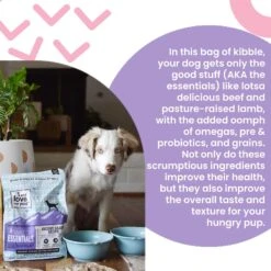 I And Love And You Naked Essentials Ancient Grain Beef And Lamb Recipe Dry Dog Food -Blue Buffalo || ROYAL CANIN || Wellness Sales 217313 PT2. AC SS1800 V1692292975