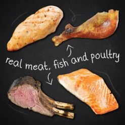 Hound & Gatos Grain-Free Cage Free Chicken Recipe Dry Dog Food -Blue Buffalo || ROYAL CANIN || Wellness Sales 217783 PT3. AC SS1800 V1588770717