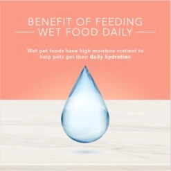 Blue Buffalo True Solutions Healthy Weight Natural Weight Control Chicken Adult Wet Dog Food -Blue Buffalo || ROYAL CANIN || Wellness Sales 218278 PT6. AC SS1800 V1676653189