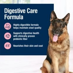 Blue Buffalo True Solutions Blissful Belly Digestive Care Formula Dry Dog Food -Blue Buffalo || ROYAL CANIN || Wellness Sales 218287 PT2. AC SS1800 V1696449694