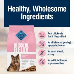 Blue Buffalo True Solutions Blissful Belly Digestive Care Formula Dry Dog Food -Blue Buffalo || ROYAL CANIN || Wellness Sales 218287 PT5. AC SS1800 V1696450047