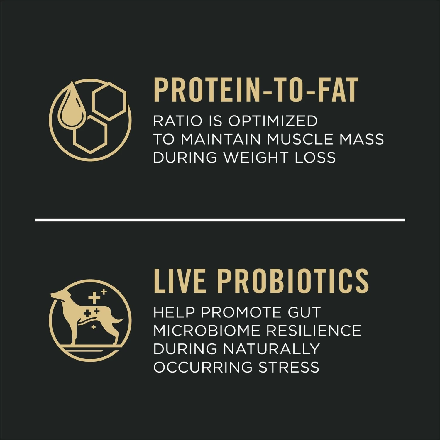 Purina Pro Plan Weight Management Chicken Adult Small Breed Formula Dry Dog Food 6 Purina Pro Plan Weight Management Chicken Adult Small Breed Formula Dry Dog Food - Image 4