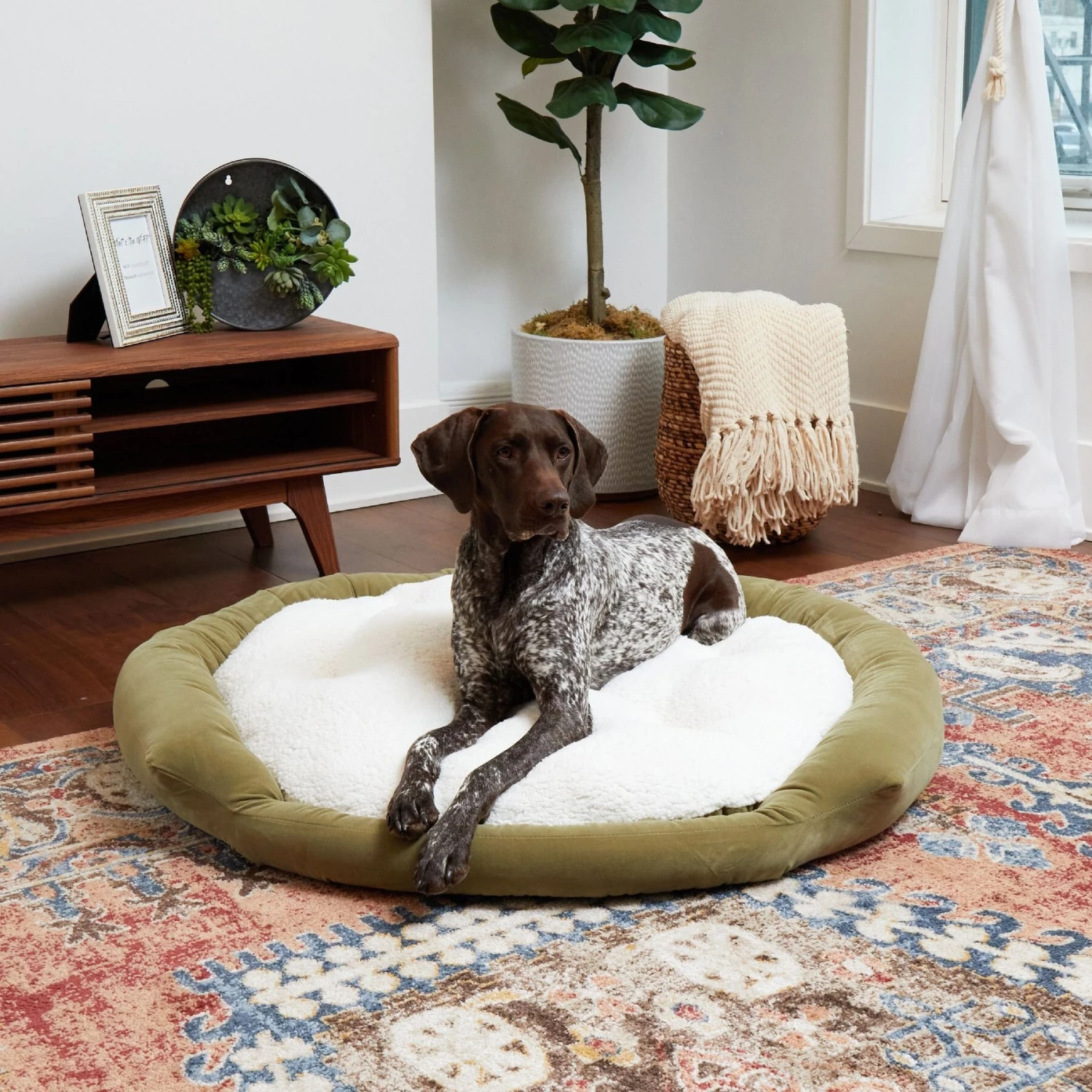 Happy Hounds Marley Donut Dog Bed 3 Happy Hounds Marley Donut Dog Bed