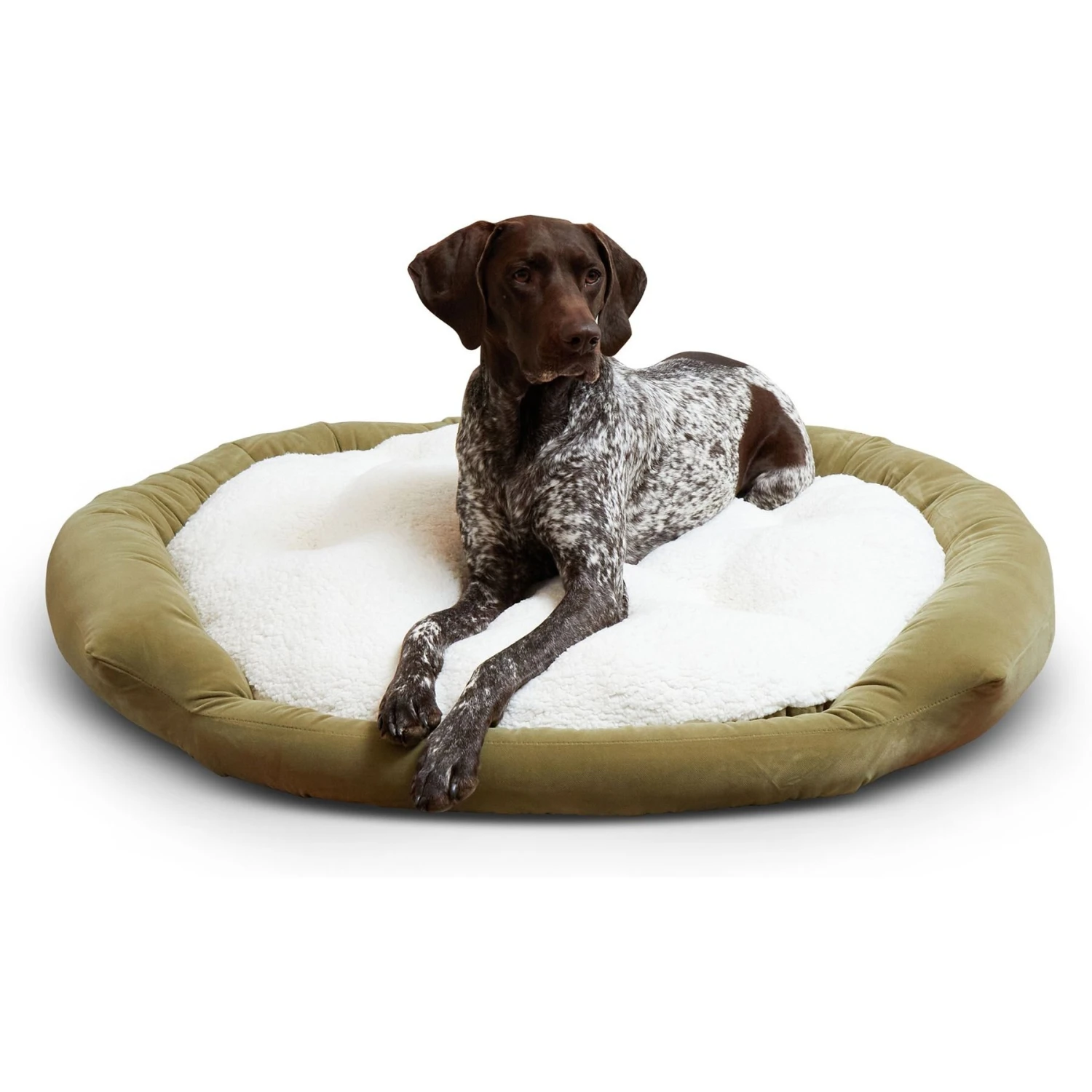 Happy Hounds Marley Donut Dog Bed 5 Happy Hounds Marley Donut Dog Bed - Image 3