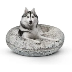 Bessie + Barnie Signature Bagel Bolster Cat & Dog Bed With Removable Cover 9 Bessie + Barnie Signature Bagel Bolster Cat & Dog Bed With Removable Cover -Blue Buffalo || ROYAL CANIN || Wellness Sales 219333 PT2. AC SS1800 V1697762170