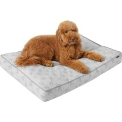 Disney Mickey Mouse Pillow Cat & Dog Bed -Blue Buffalo || ROYAL CANIN || Wellness Sales 222213 PT2. AC SS1800 V1611758239