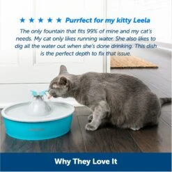 PetSafe Drinkwell Butterfly Dog & Cat Drinking Fountain, 50-oz -Blue Buffalo || ROYAL CANIN || Wellness Sales 222223 PT5. AC SS1800 V1676398887