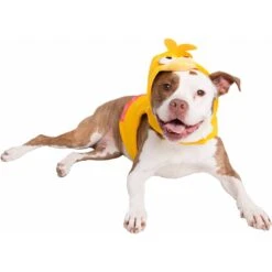 Pet Krewe Big Bird Dog & Cat Costume -Blue Buffalo || ROYAL CANIN || Wellness Sales 223177 PT8. AC SS1800 V1599267996