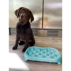 Neater Pets Standard Non-Skid Plastic Slow Feeder Dog & Cat Bowl -Blue Buffalo || ROYAL CANIN || Wellness Sales 224726 pt5. AC SS1800 V1583446071