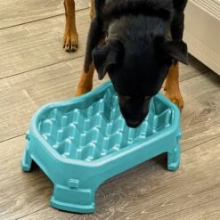 Neater Pets Adjustable Non-Skid Plastic Slow Feeder Dog & Cat Bowl -Blue Buffalo || ROYAL CANIN || Wellness Sales 224731 pt7. AC SS1800 V1583446149
