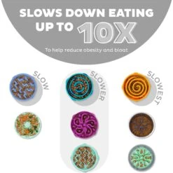 Outward Hound Fun Feeder Drop Dog Bowl, Grey -Blue Buffalo || ROYAL CANIN || Wellness Sales 226744 PT1. AC SS1800 V1694286655