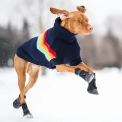 GF Pet Elastofit Dog Boots -Blue Buffalo || ROYAL CANIN || Wellness Sales 227696 PT3. AC SS1800 V1585243585