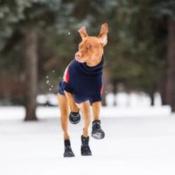 GF Pet Elastofit Dog Boots -Blue Buffalo || ROYAL CANIN || Wellness Sales 227696 PT4. AC SS1800 V1585243586