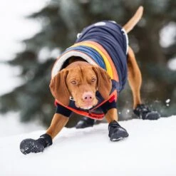 GF Pet Elastofit Dog Boots -Blue Buffalo || ROYAL CANIN || Wellness Sales 227696 PT5. AC SS1800 V1585243588