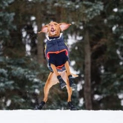 GF Pet Elastofit Dog Boots -Blue Buffalo || ROYAL CANIN || Wellness Sales 227696 PT6. AC SS1800 V1585243593