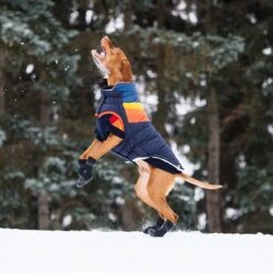 GF Pet Elastofit Dog Boots -Blue Buffalo || ROYAL CANIN || Wellness Sales 227696 PT7. AC SS1800 V1585243594